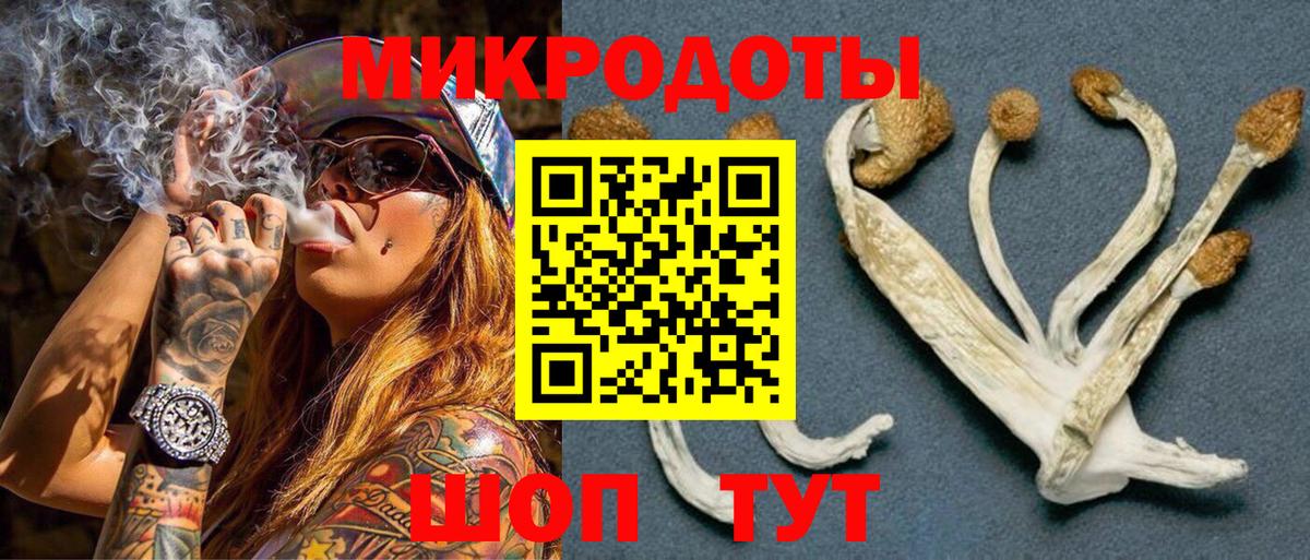 Бошки Шишки Кудымкар