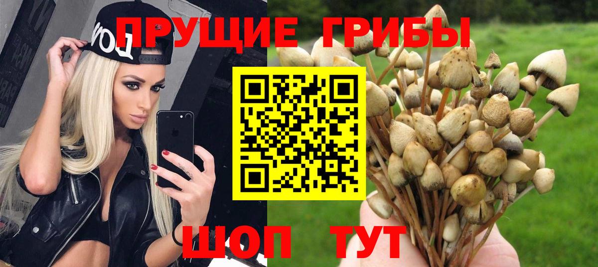 Псилоцибиновые грибы GOLDEN TEACHER Кудымкар